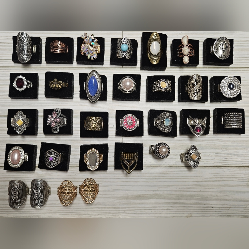 31 Pc Women's Ring Collection